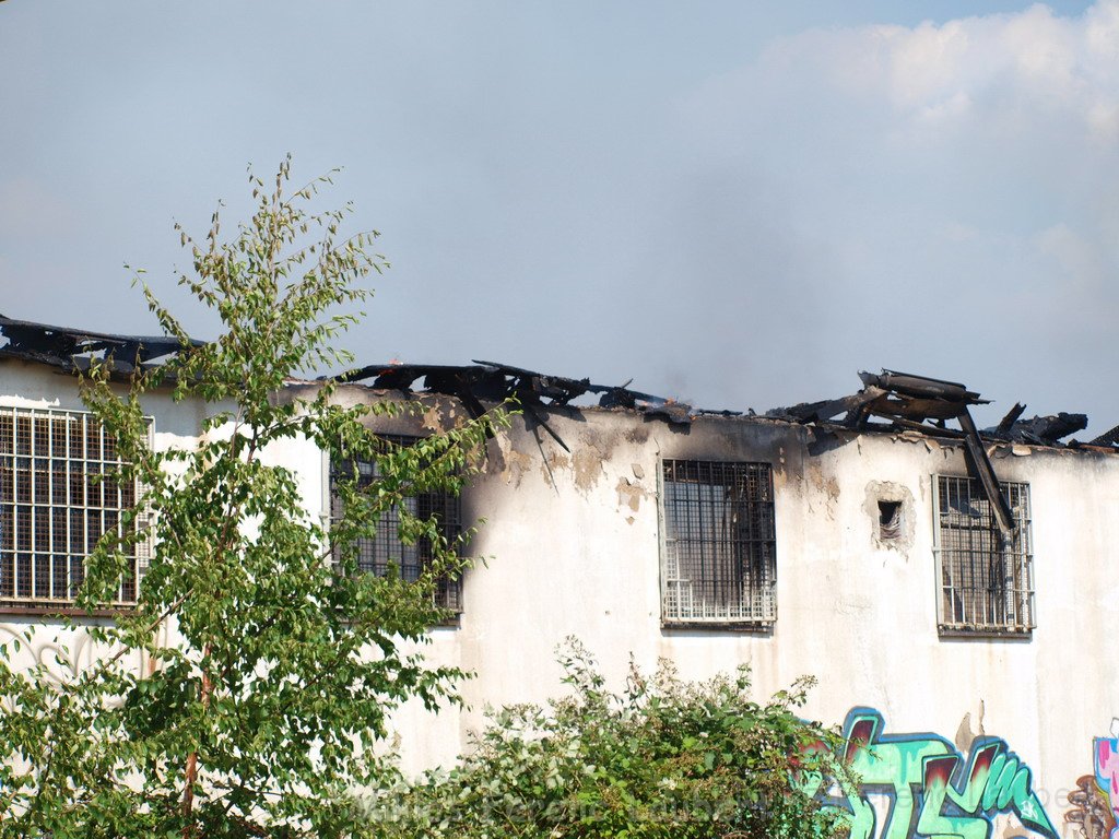 Feuer Koeln Ossendorf Butzweiler Hof neben IKEA P141.JPG